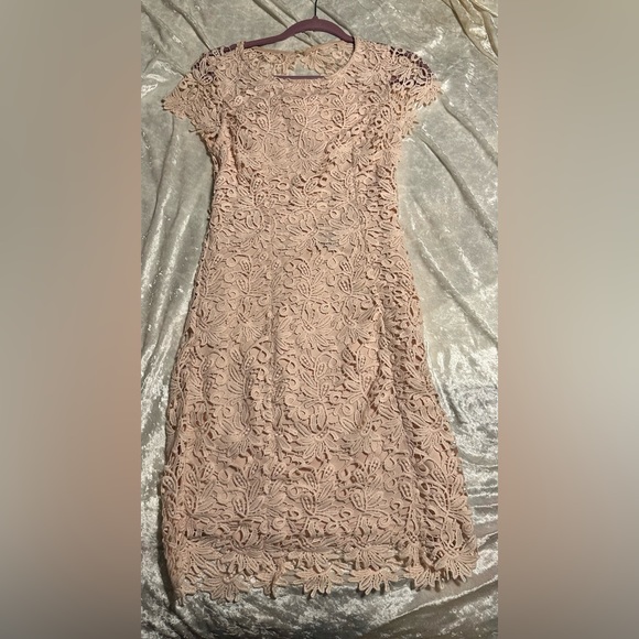 🩵 Lulus blush cotton lace dress with keyhole back. 092 - Picture 10 of 11